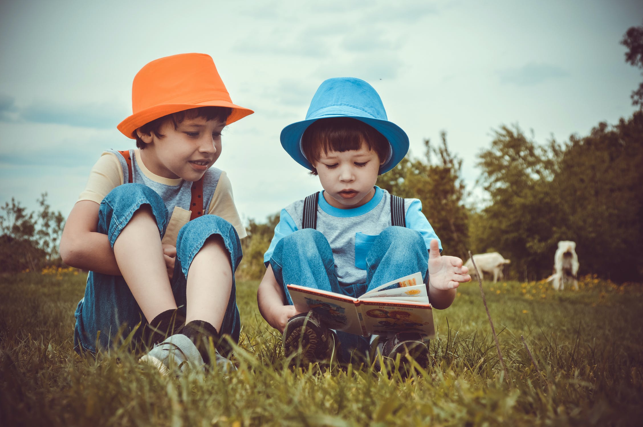 Two little boys reading a book